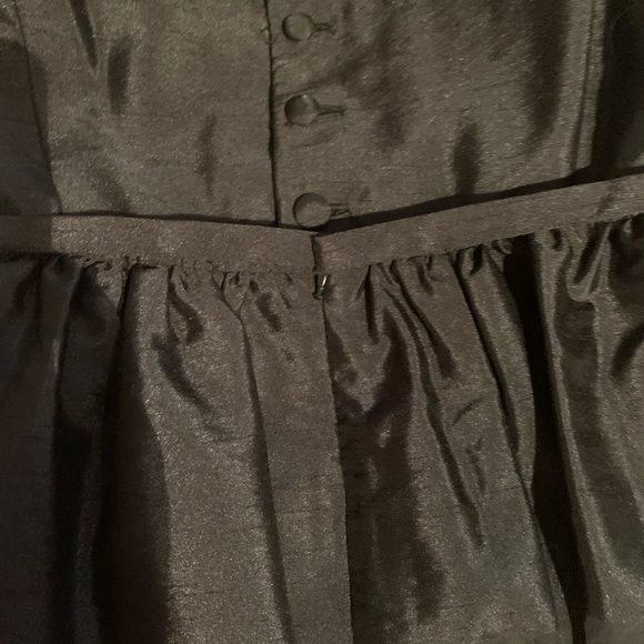 The Limited Dress - Picture 5 of 5